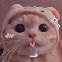 tác giả cute s1tg