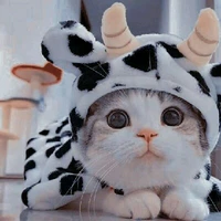 Con tác giả có khả năng buê đuê