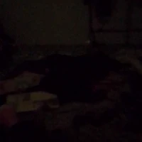 jiki và kito