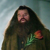 Bác Hagrid