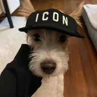 Tác giả lười s1tg👍