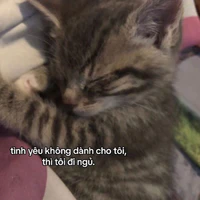 tác giả nòo