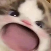 Đa Nhân Vật:}