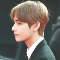Kim Taehyung | Anh trai Cô |