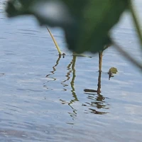 All S/trừ ai thì trừ/