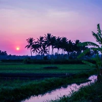 tất cả mọi người