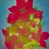 Gopi