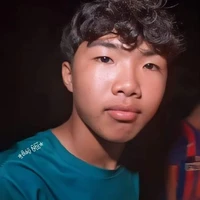 phạm đình hoà