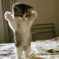 Tác giả kì quái(Tiêu An)