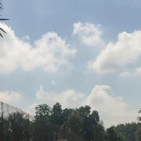 nhân vật bí ẩn