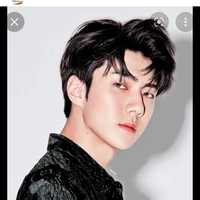 sehun( đồng đội của cô ,cs ngầm)