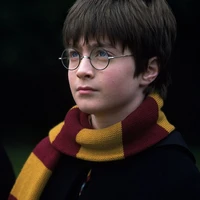 Harry Potter