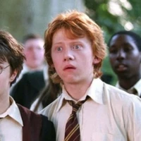 Ron Weasley🍗