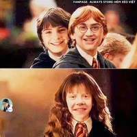 Har,Her,Ron🍗📚⚡🐯