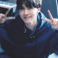 Jung Hoseok ( hobi)