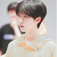 Hạ Tuấn Lâm