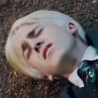 Draco.L.Malfoy