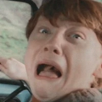 Ron.Weasley