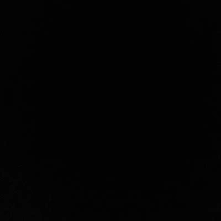 Tay sai của băng buôn lậu