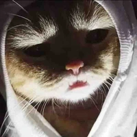 Đại ma meow