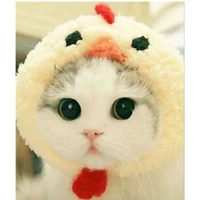 Tiểu Bạch (hệ thống 189)