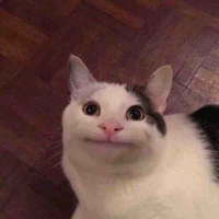?????
