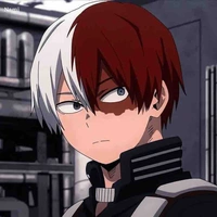 Todoroki Shoto/Shoto