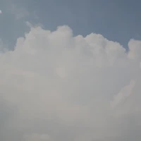 mọi người