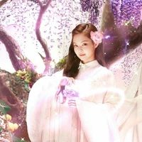 Kim Trân Ni - nàng