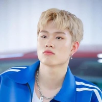 dương domic