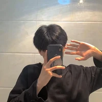 Lục lệ thành (anh sinh đôi n9)