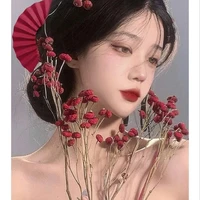 Hạ Dương Nghi/Sahanri