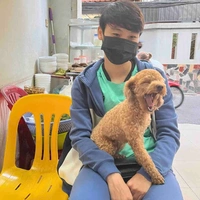 Hải Yến