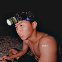 Phạm Đình Hoà