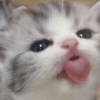 All