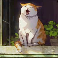 Haka Akima