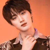 Đinh Trình Hâm