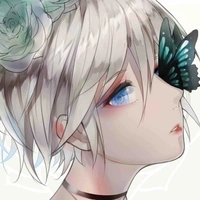 Nan Thuần Nhã- Oxlin