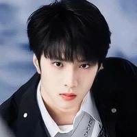 Lưu Diệu Văn ( anh )Han