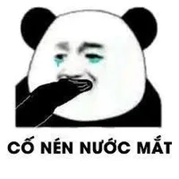 Tác giả đẹpz