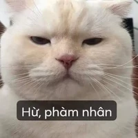 lũ yêu tinh