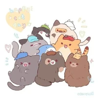 All nam9