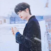 Đinh Trình Hâm