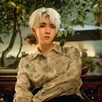 Hạ Tuấn Lâm