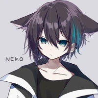 Hệ Thống¹_Akira