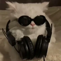 tg xàm xí 👍