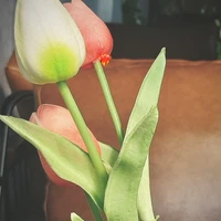 khiemnhanraneuchiecodi3nguoit hi1nguoiuo