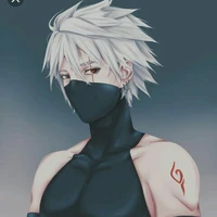 kakashi (bakashi)