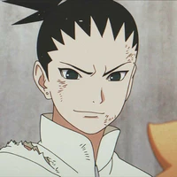 shikadai