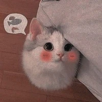 Hy - con tác giả thỉu neng 🥴🐸